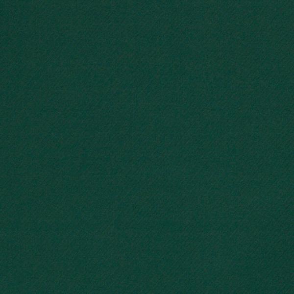 Jacquard Jersey Sarina, Diagonale Streifen, dunkelgrün
